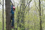 Bild: Herzlich Willkommen in der WaldZeit. Dem Nachmittagsprogramm des Waldseilgartens.